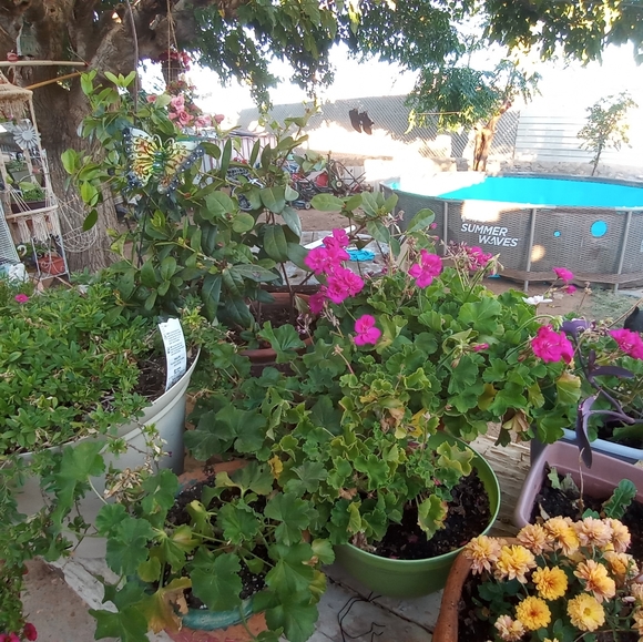 COPY - Meet your Posher, David - Picture 5 of 5